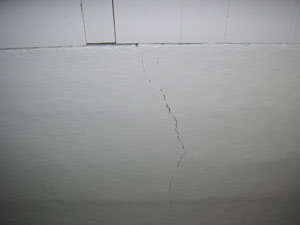 New House Inspection